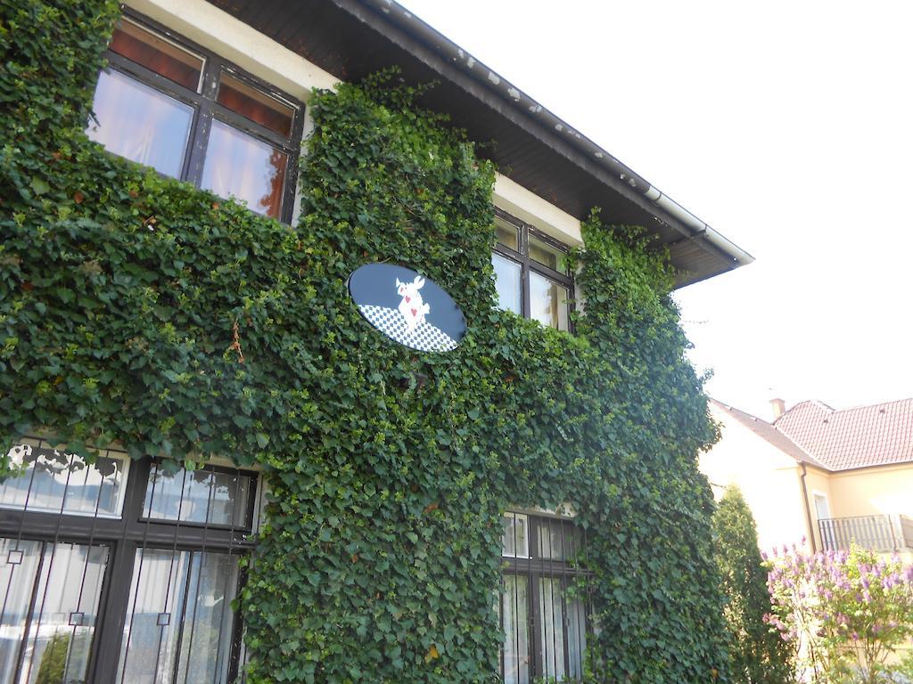 White Rabbit Hall Hotel Poděbrady Exterior foto
